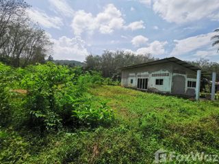 For sale land in Cha-uat, Nakhon Si Thammarat