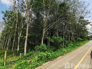 For sale land in Cha-uat, Nakhon Si Thammarat