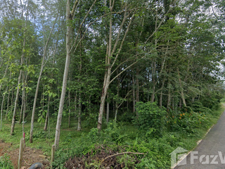 For sale land in Cha-uat, Nakhon Si Thammarat