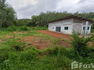 For sale land in Cha-uat, Nakhon Si Thammarat