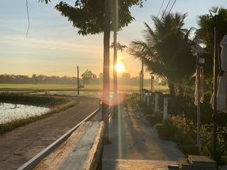 For sale land in Nong Chang, Uthai Thani