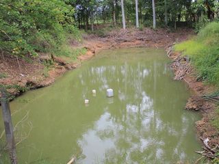 For sale land in Nong Chang, Uthai Thani