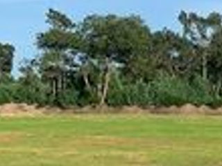 For sale land in Phayakkhaphum Phisai, Maha Sarakham