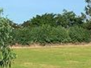 For sale land in Phayakkhaphum Phisai, Maha Sarakham