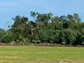 For sale land in Phayakkhaphum Phisai, Maha Sarakham