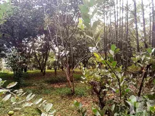 For sale studio house in Ban Rai, Uthai Thani