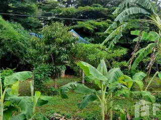 For sale studio house in Ban Rai, Uthai Thani