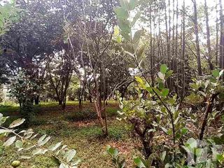 For sale studio house in Ban Rai, Uthai Thani