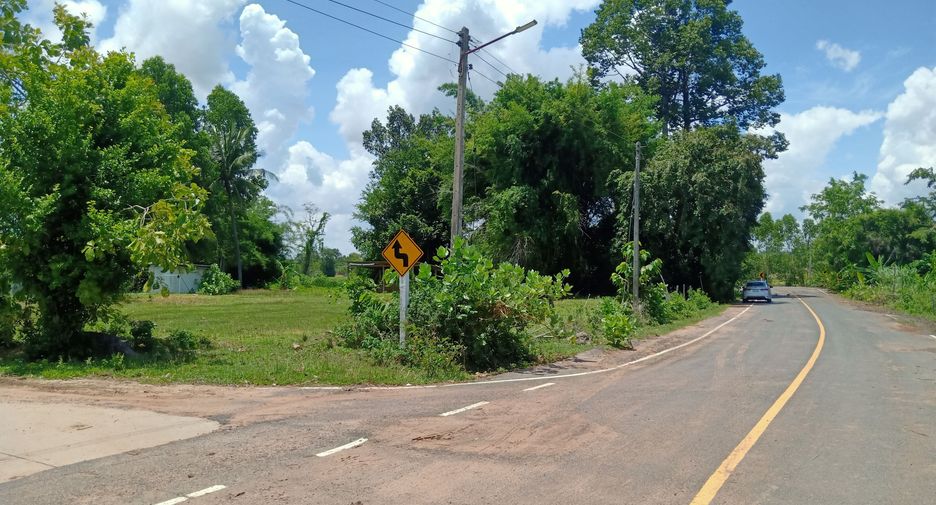 For sale land in Sangkha, Surin