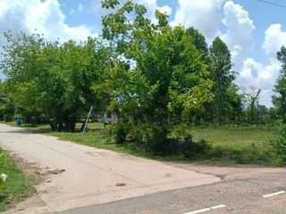 For sale land in Sangkha, Surin