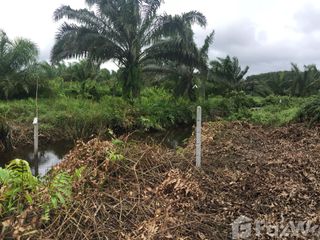 For sale land in Takua Pa, Phang Nga