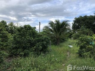 For sale land in Mueang Lamphun, Lamphun