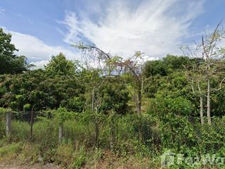 For sale land in Mueang Lamphun, Lamphun