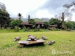 For sale land in Chiang Dao, Chiang Mai