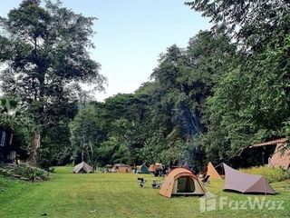 For sale land in Chiang Dao, Chiang Mai