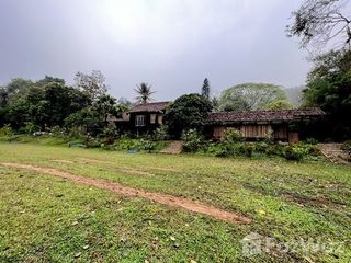 For sale land in Chiang Dao, Chiang Mai