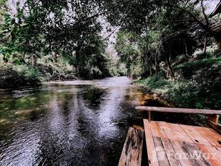 For sale land in Chiang Dao, Chiang Mai