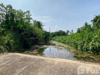 For sale land in Wang Nam Khiao, Nakhon Ratchasima