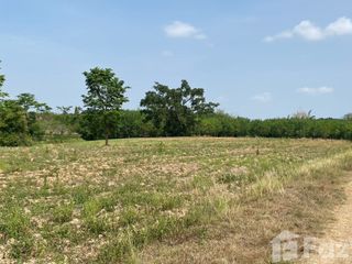 For sale land in Wang Nam Khiao, Nakhon Ratchasima