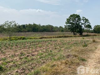 For sale land in Wang Nam Khiao, Nakhon Ratchasima