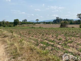 For sale land in Wang Nam Khiao, Nakhon Ratchasima