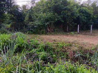 For sale land in Sawang Daen Din, Sakon Nakhon