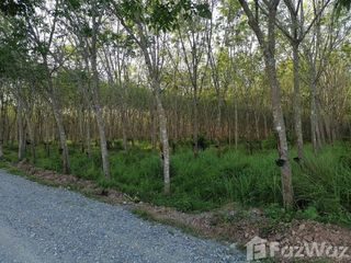 For sale land in Cha-uat, Nakhon Si Thammarat