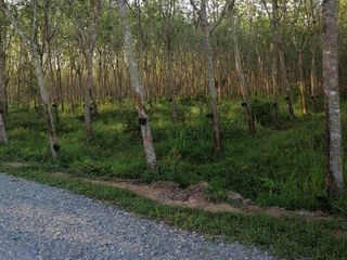 For sale land in Cha-uat, Nakhon Si Thammarat