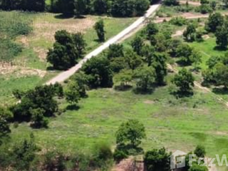 For sale land in Non Thai, Nakhon Ratchasima