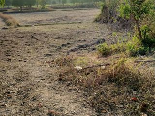 For sale land in Kuchinarai, Kalasin
