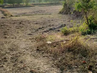 For sale land in Kuchinarai, Kalasin
