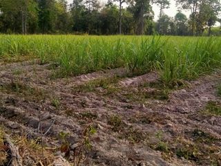 For sale land in Kuchinarai, Kalasin