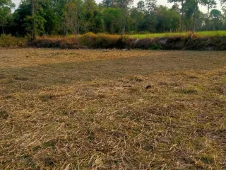 For sale land in Kuchinarai, Kalasin