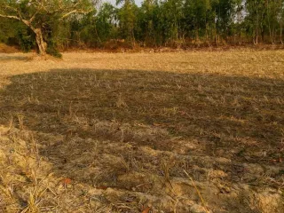 For sale land in Kuchinarai, Kalasin