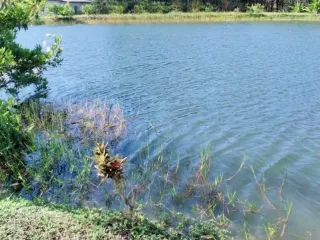 For sale land in Khao Saming, Trat