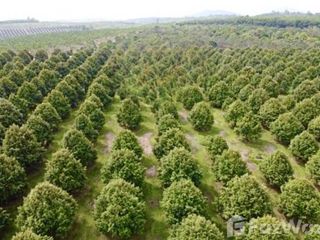 For sale land in Khao Saming, Trat