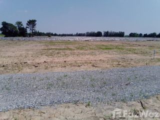 For sale land in Nong Ya Sai, Suphan Buri