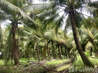 ขาย ที่ดิน ใน ดำเนินสะดวก, ราชบุรี
