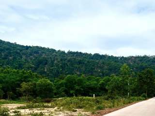 For sale land in Mueang Prachinburi, Prachin Buri
