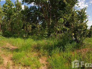 For sale land in Mueang Lamphun, Lamphun
