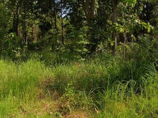 For sale land in Mueang Lamphun, Lamphun