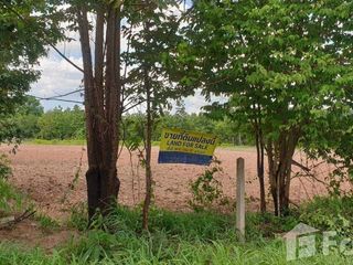 For sale land in Mueang Lamphun, Lamphun