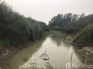 For sale land in Bang Rakam, Phitsanulok