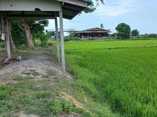 For sale land in Song Phi Nong, Suphan Buri