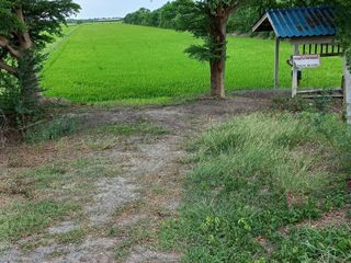For sale land in Song Phi Nong, Suphan Buri