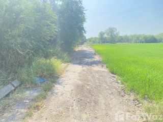 For sale land in Sena, Phra Nakhon Si Ayutthaya