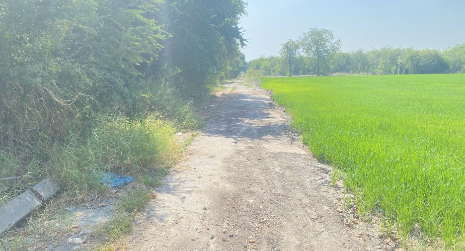 For sale land in Sena, Phra Nakhon Si Ayutthaya