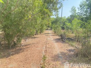 For sale land in Sena, Phra Nakhon Si Ayutthaya