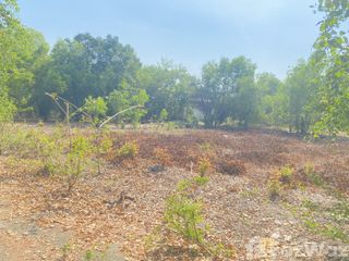 For sale land in Sena, Phra Nakhon Si Ayutthaya