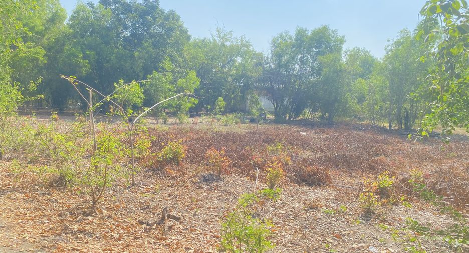 For sale land in Sena, Phra Nakhon Si Ayutthaya